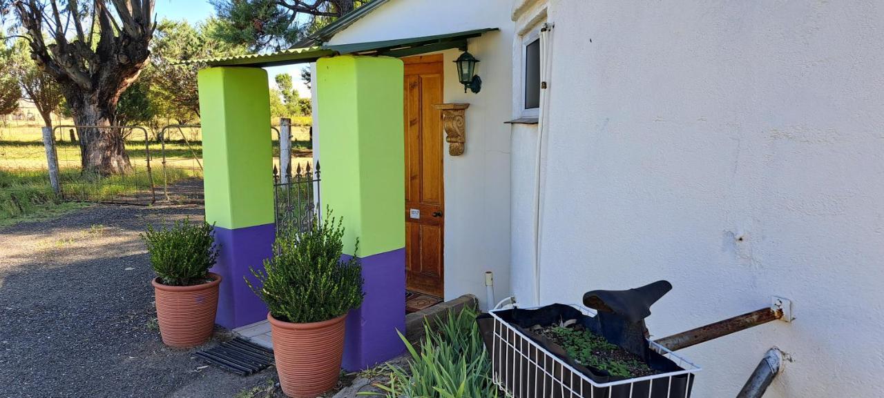 Purple House B&B Smithfield エクステリア 写真